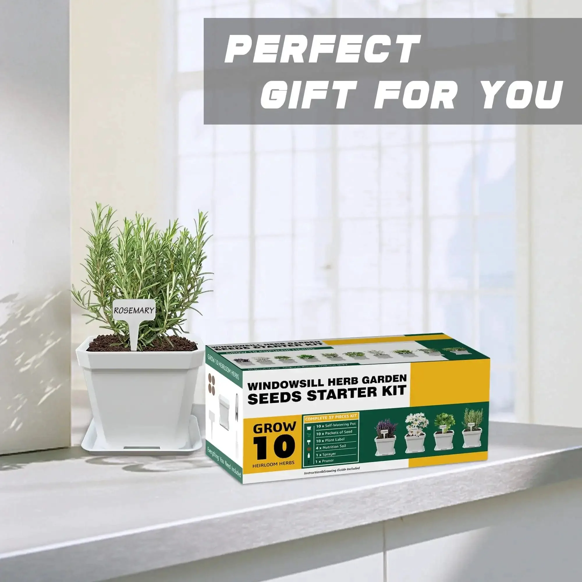 10 Herb Seeds Garden Starter Kit With White Pots Markers Soil Discs Watering Bottle Herb Clipper Mini Pruner And Complete Indoor Kitchen Herb Garden Set For Easy No Fuss DIY Growing - Image 2