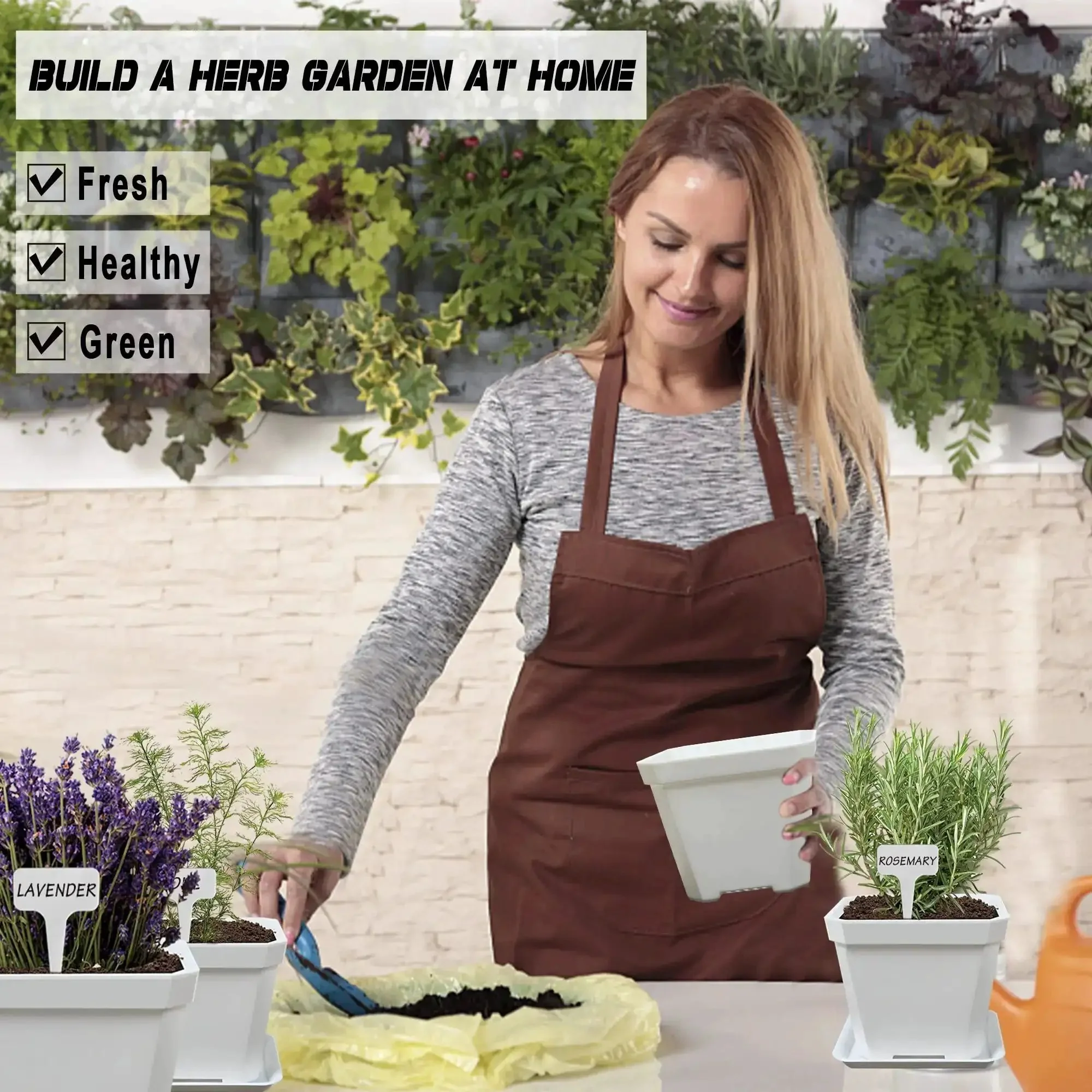 10 Herb Seeds Garden Starter Kit With White Pots Markers Soil Discs Watering Bottle Herb Clipper Mini Pruner And Complete Indoor Kitchen Herb Garden Set For Easy No Fuss DIY Growing - Image 3