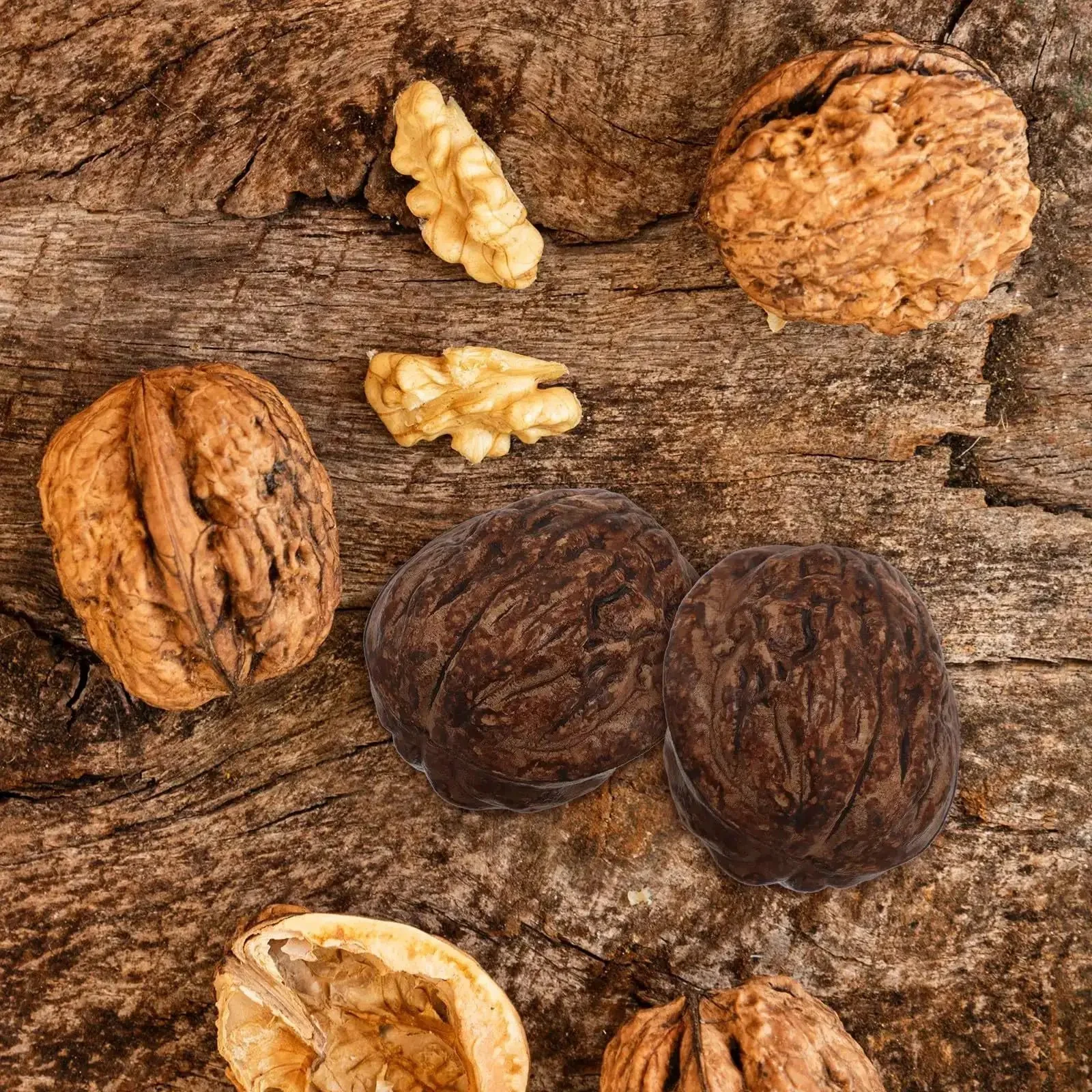 24Pcs Realistic Artificial Walnut Nuts Miniature Faux Fruit Photo Props For Home Table Display Staging And Food Styling That Looks Real And Natural Walnut Accessories For Realistic Decor And Creative Photo Shoots - Image 7
