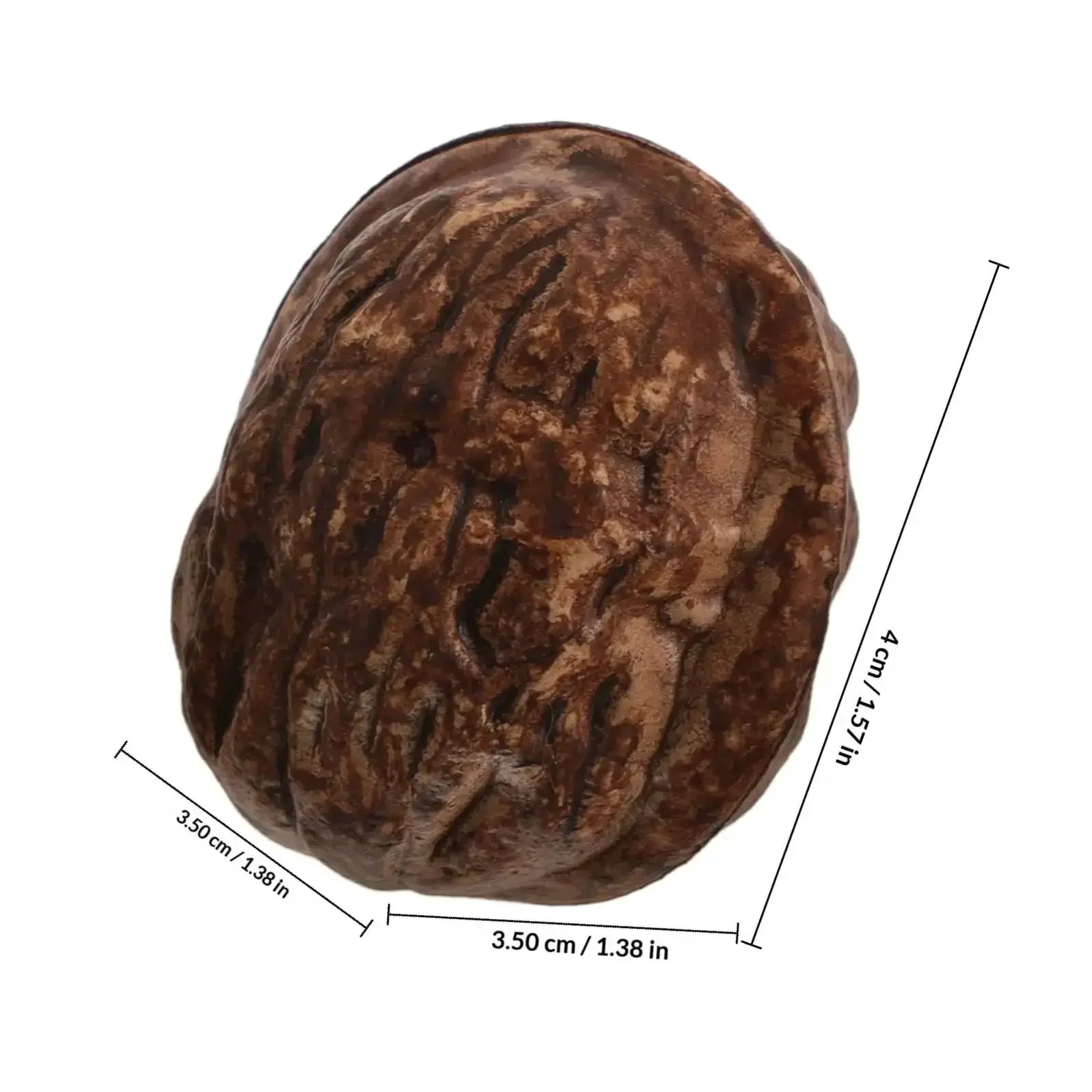 24Pcs Realistic Artificial Walnut Nuts Miniature Faux Fruit Photo Props For Home Table Display Staging And Food Styling That Looks Real And Natural Walnut Accessories For Realistic Decor And Creative Photo Shoots - Image 9