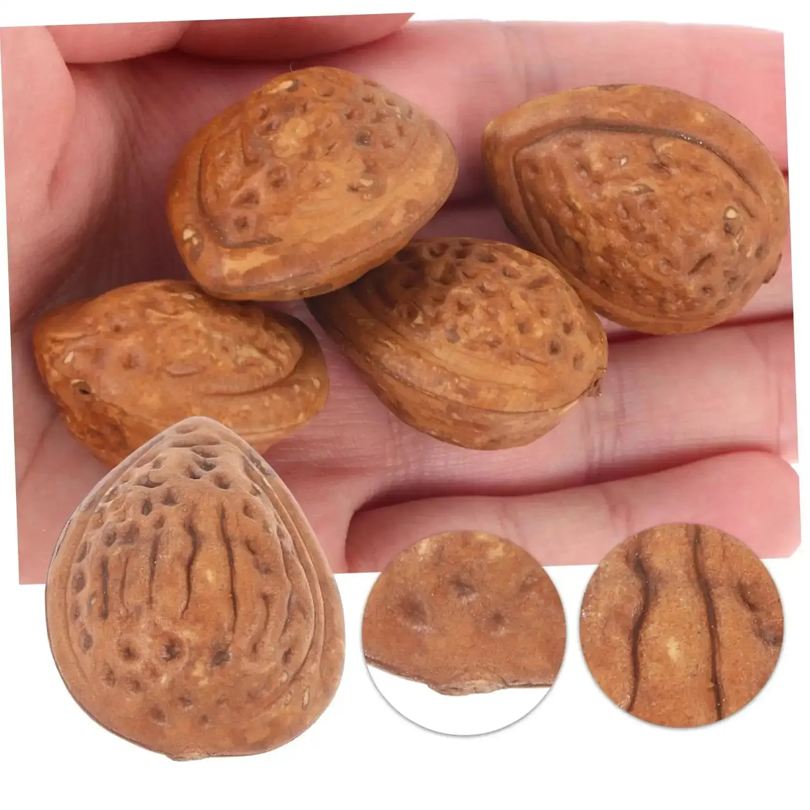 40 Realistic Faux Almonds For Crafts And Food Photography, Lifelike Artificial Nuts For Home Decor, Miniature Displays, Table Centerpieces, And Food Styling Props - Image 2