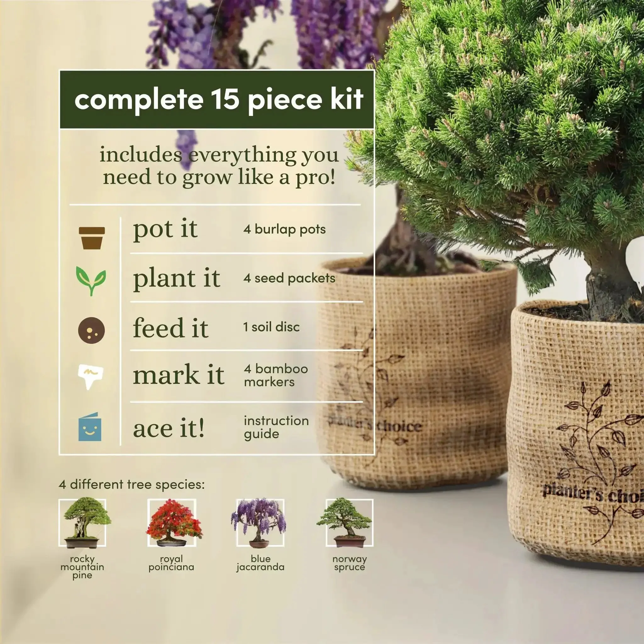 All In One Bonsai Growing Kit For Beginners With Seeds Norway Spruce Royal Poinciana Blue Jacaranda And Rocky Mountain Pine Burlap Pots And Easy Care Guide - Great Easter Gift For Women And Men Who Dig Plants A Fun DIY Hobby Kit For Adults - Image 8