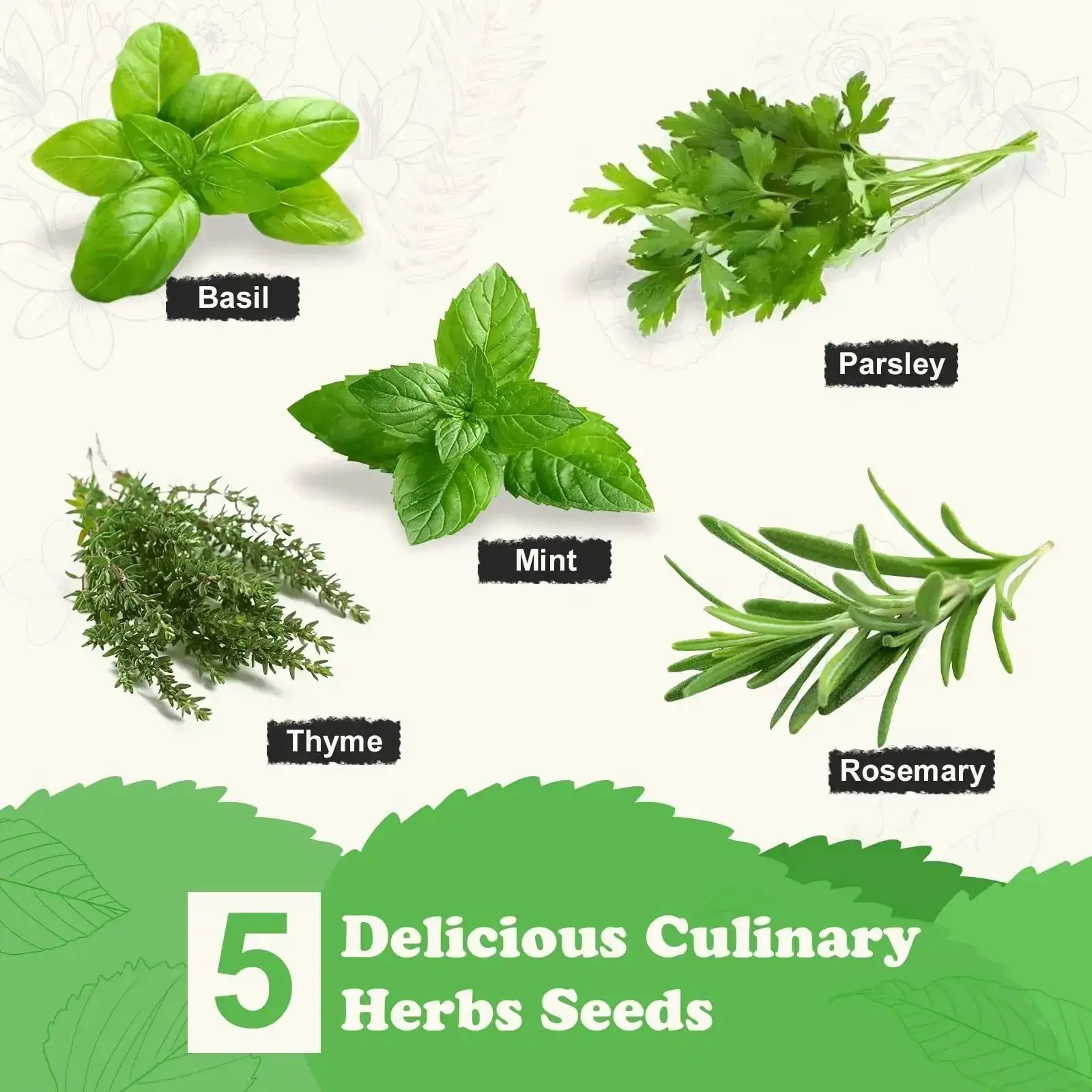 All In One Kitchen Windowsill Herb Garden Starter Kit That Makes Growing Basil Parsley Rosemary Thyme Mint A Breeze With Five Seed Varieties Planter Box Bags Discs Markers Tools Pruner Water Bottle And Easy DIY Guide - Image 2