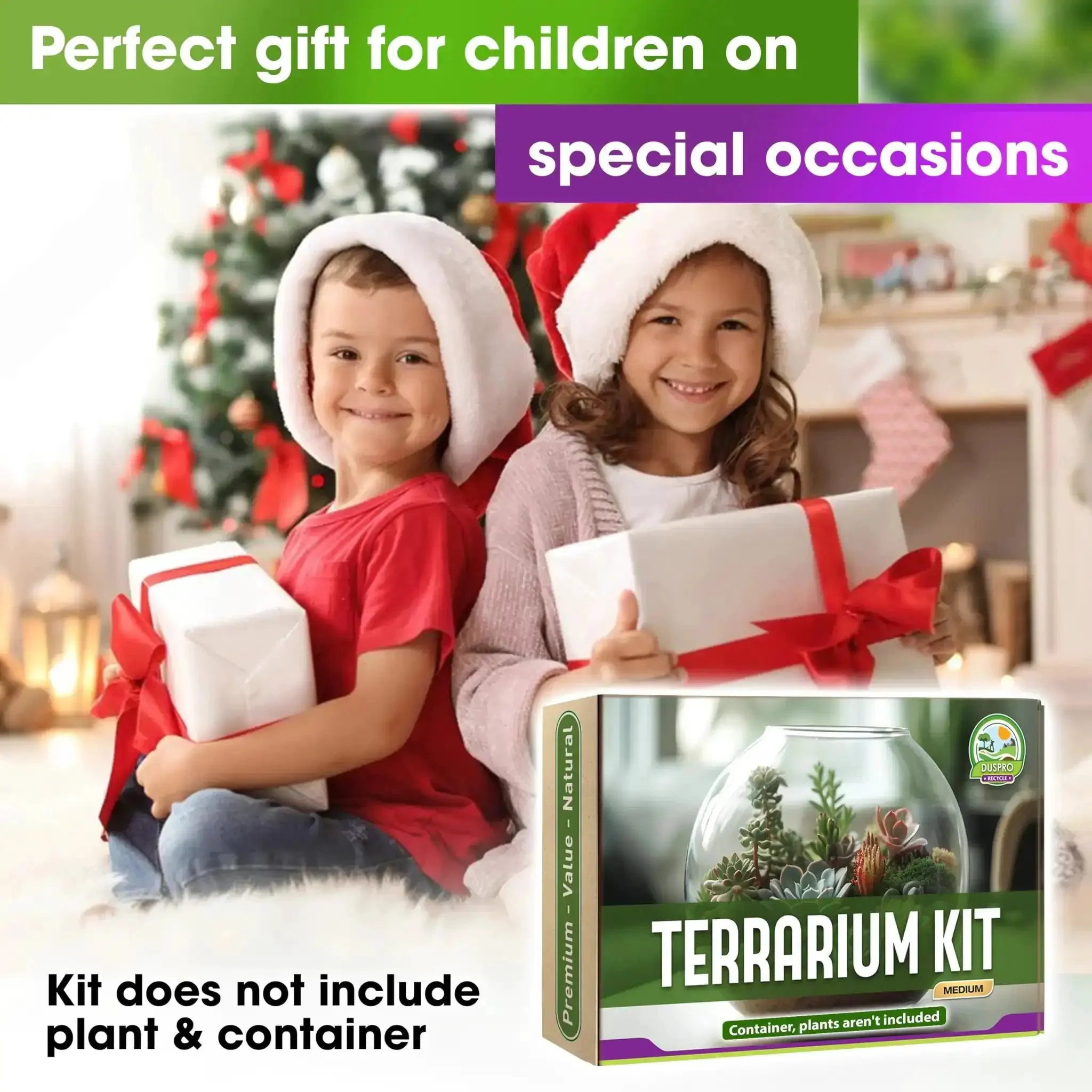 All In One Terrarium Kit With Premium Soil Mix Pumice Zeolite Moss Sphagnum Moss Decorative Stones Mesh And Tools For DIY Terrariums That Make It Easy For Kids Air Plants And Succulents - Image 3