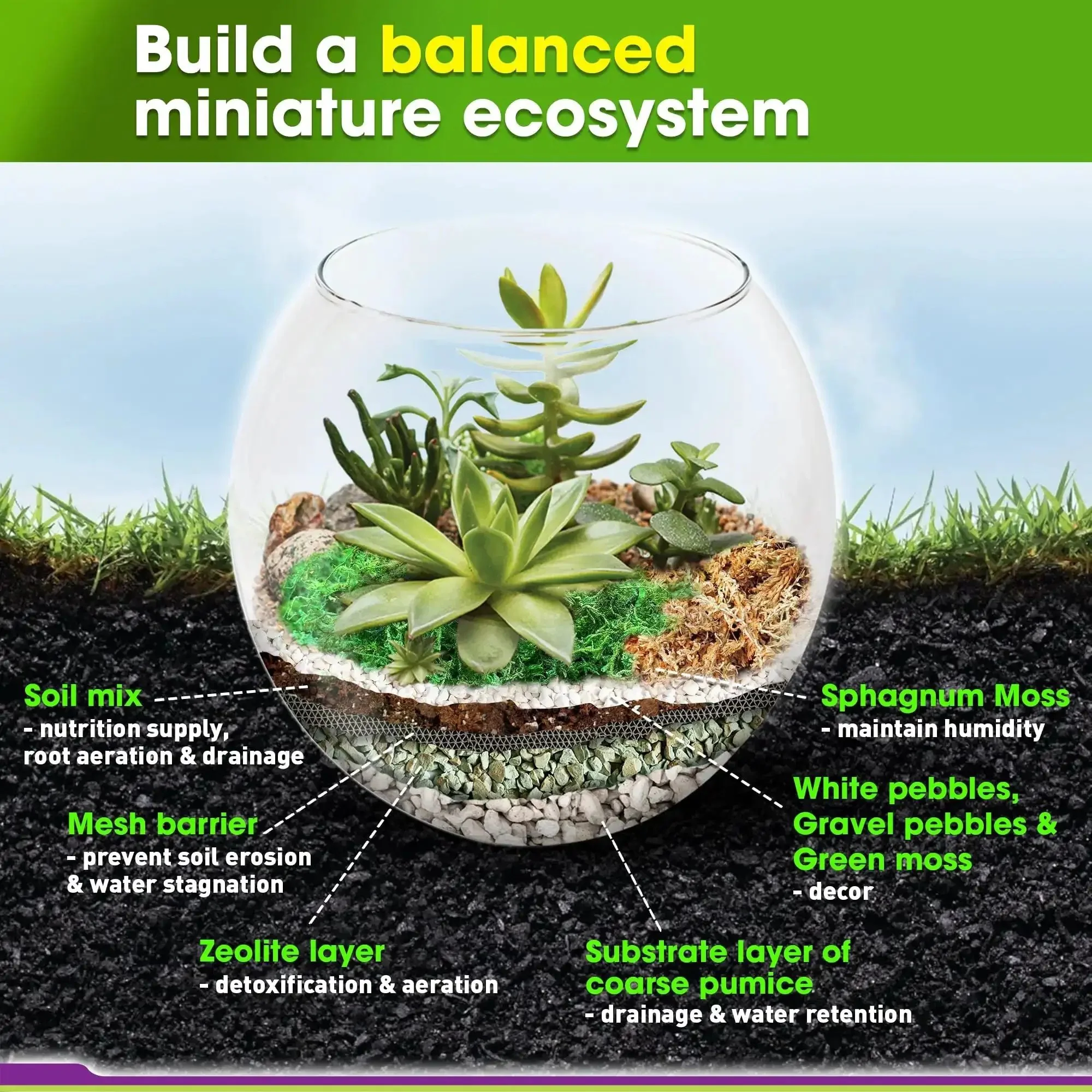All In One Terrarium Kit With Premium Soil Mix Pumice Zeolite Moss Sphagnum Moss Decorative Stones Mesh And Tools For DIY Terrariums That Make It Easy For Kids Air Plants And Succulents - Image 6
