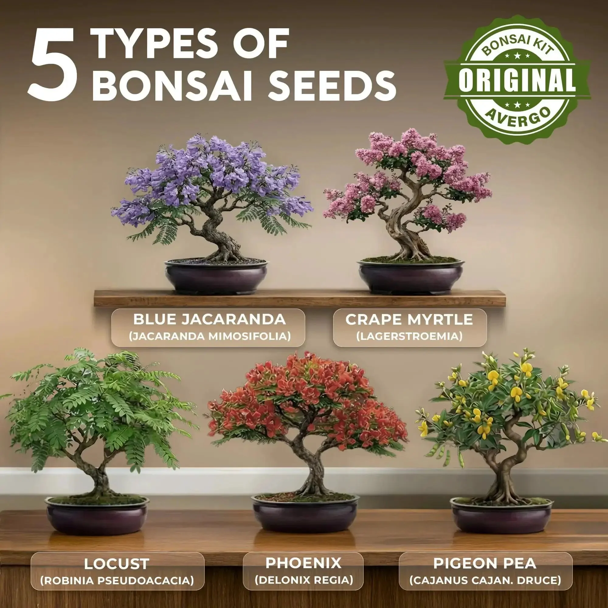 Beginner Bonsai Tree Kit With 5 Unique Japanese Bonsai Trees, Complete Indoor Bonsai Starter Kit Includes Tools, Planters, Extra Seeds, And DIY Growing Guide Dope Gift For Women And Men - Image 10