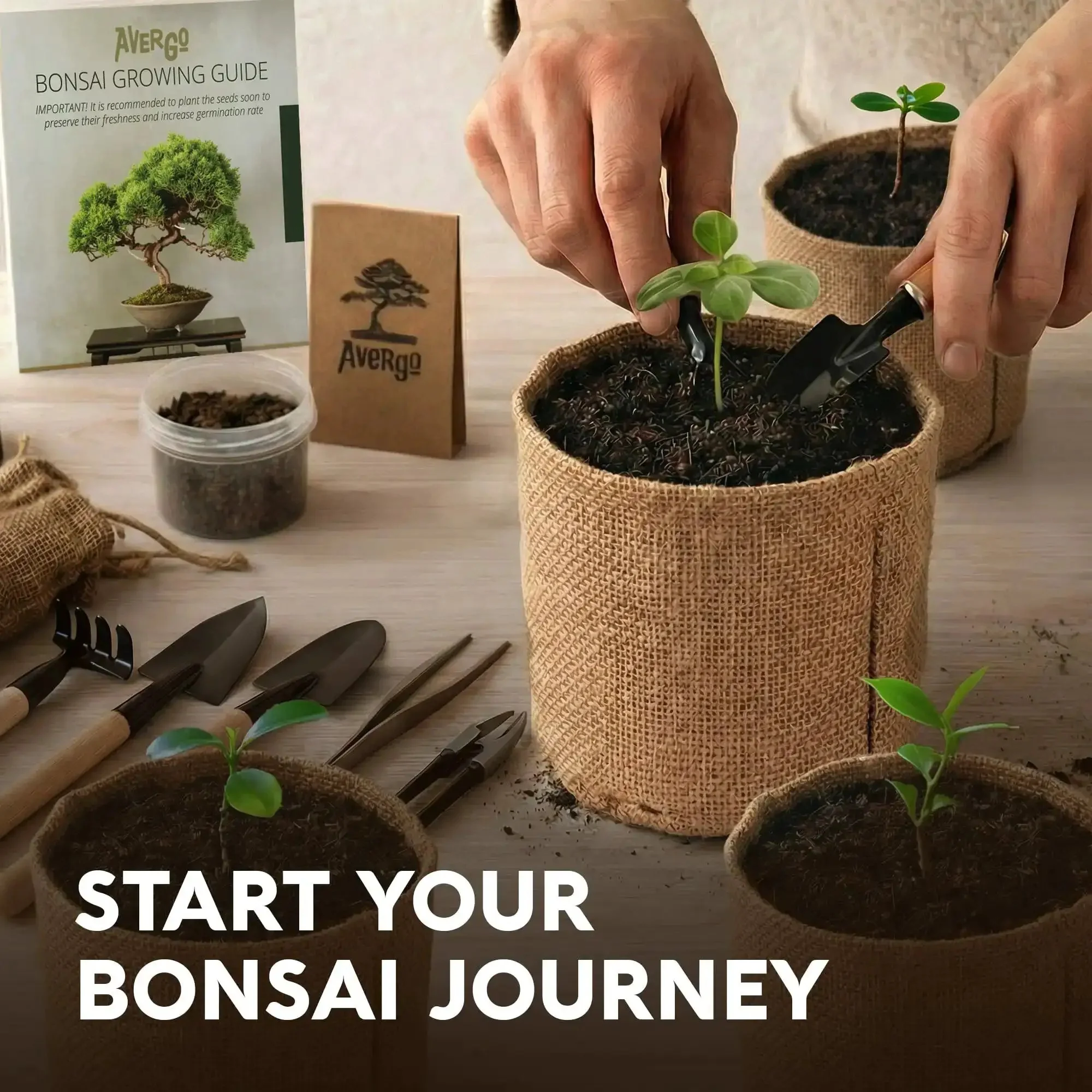Beginner Bonsai Tree Kit With 5 Unique Japanese Bonsai Trees, Complete Indoor Bonsai Starter Kit Includes Tools, Planters, Extra Seeds, And DIY Growing Guide Dope Gift For Women And Men - Image 4