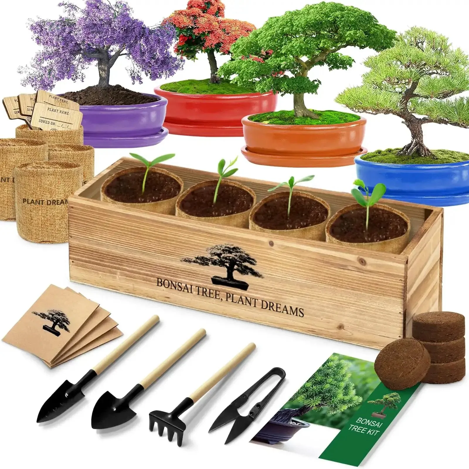 Beginner Friendly Bonsai Starter Kit With Seeds And Tools All In One Indoor Tree Growing Set For Living Plants Great Gift For Women Men Mom Dad Plant Lovers Includes Soil Discs Pots Markers Clipper And User Manual