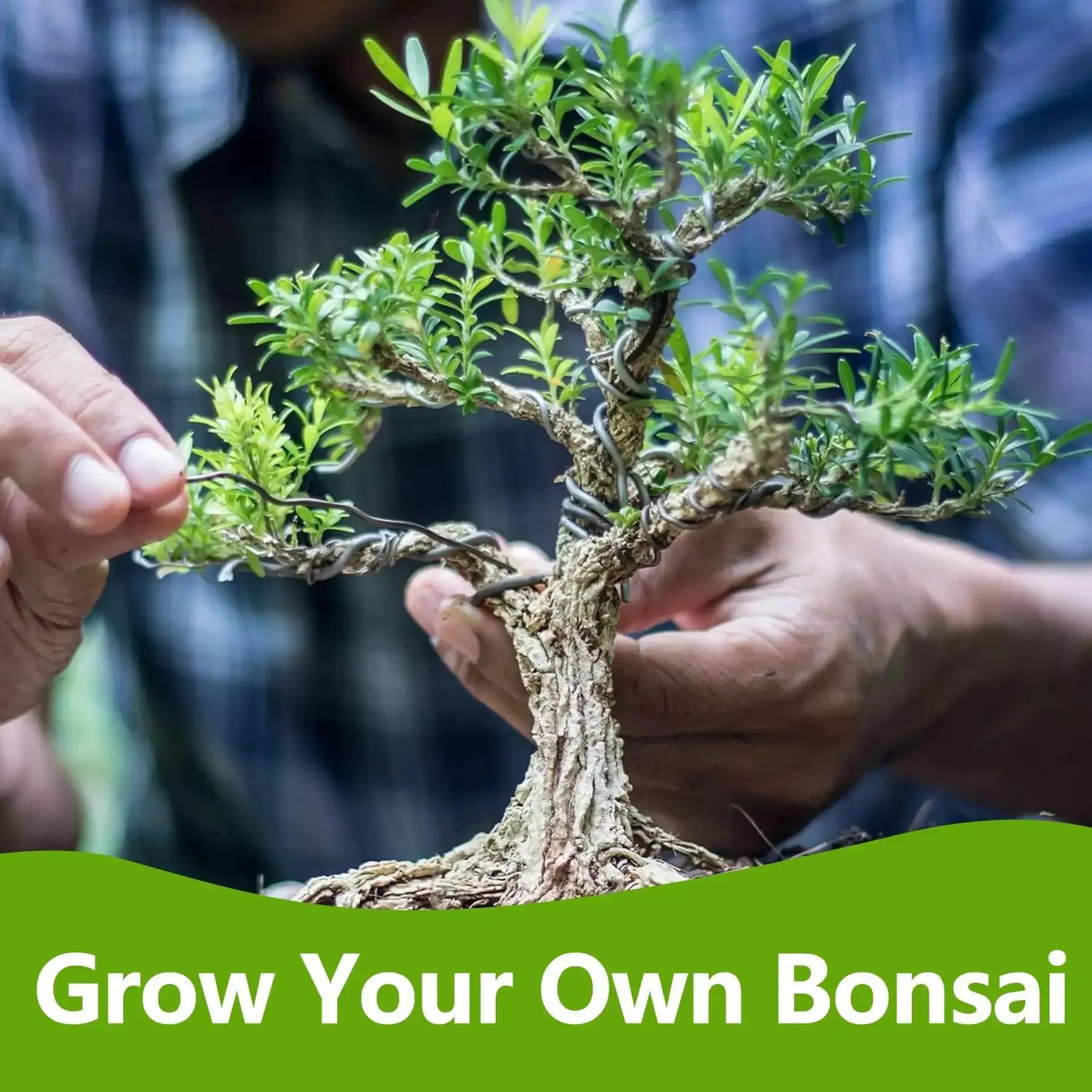 Beginner Friendly Bonsai Starter Kit With Seeds And Tools All In One Indoor Tree Growing Set For Living Plants Great Gift For Women Men Mom Dad Plant Lovers Includes Soil Discs Pots Markers Clipper And User Manual - Image 4