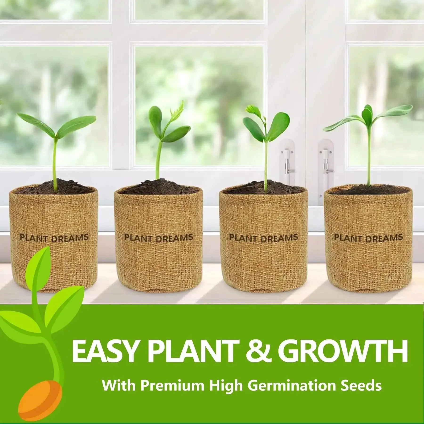 Beginner Friendly Bonsai Starter Kit With Seeds And Tools All In One Indoor Tree Growing Set For Living Plants Great Gift For Women Men Mom Dad Plant Lovers Includes Soil Discs Pots Markers Clipper And User Manual - Image 5