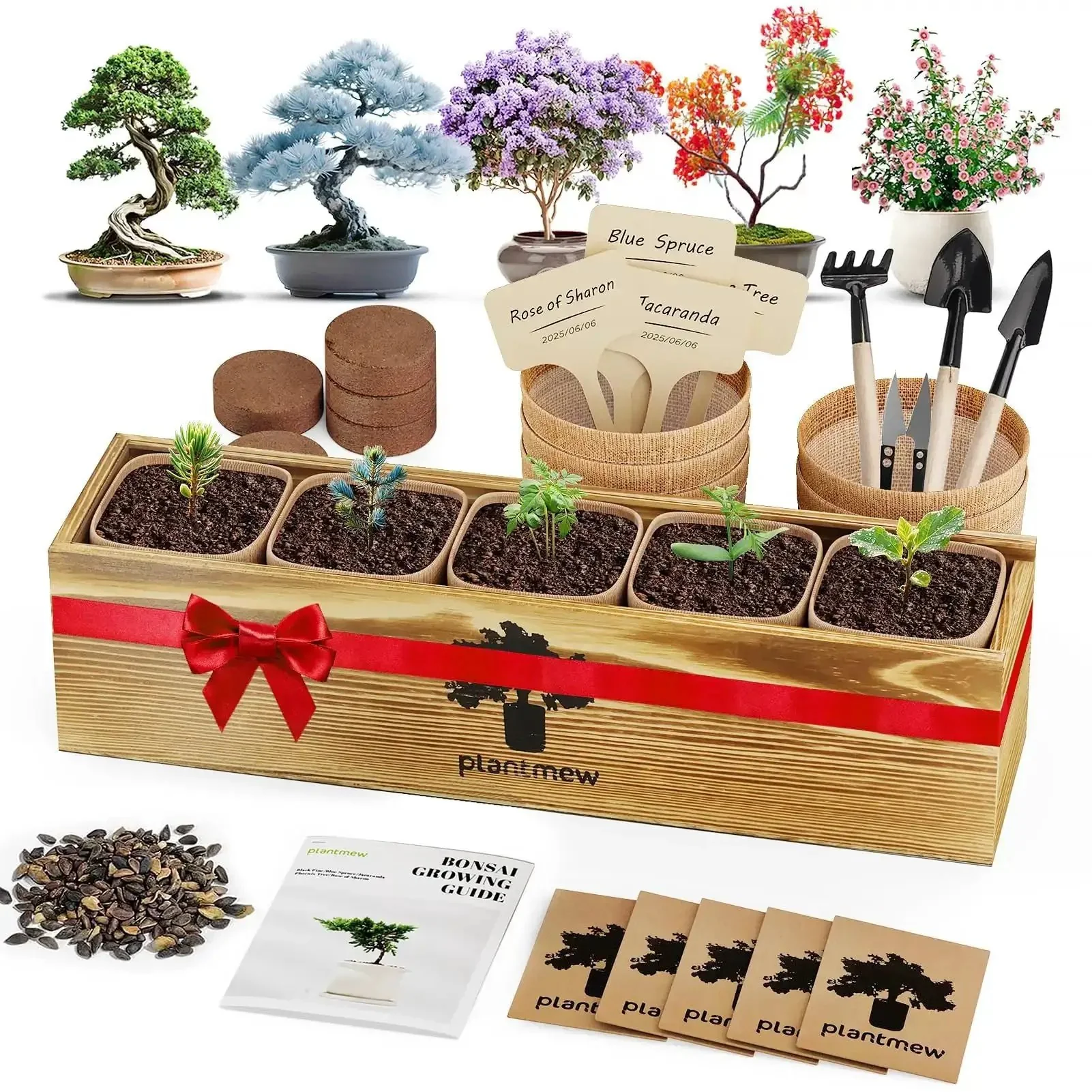 Beginner Friendly Five Varieties Japanese Bonsai Seed Kit for Indoor Gardening, Grow Your Own Mini Trees With Included Tools, Easy Start for Adults, Perfect Gift for Valentines Day, Mothers Day, and Birthdays