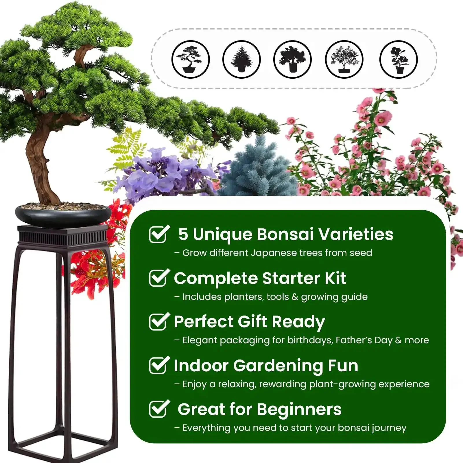 Beginner Friendly Five Varieties Japanese Bonsai Seed Kit for Indoor Gardening, Grow Your Own Mini Trees With Included Tools, Easy Start for Adults, Perfect Gift for Valentines Day, Mothers Day, and Birthdays - Image 4