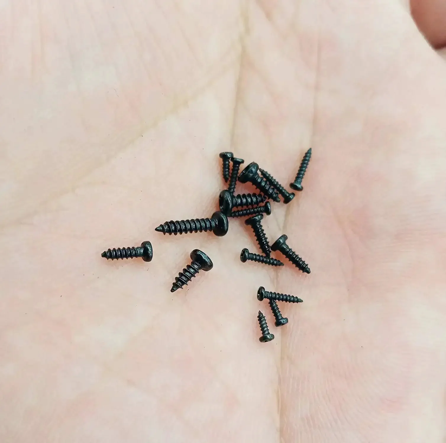 Black Carbon Steel Tiny Phillips Pan Head Self Tapping Screws Set 750 Pcs In 15 Sizes For Electronics Micro Wood Screws Kit M1 To M1.7 With M1x3mm M1x4mm M1x5mm M1.2x4mm And More - Image 2