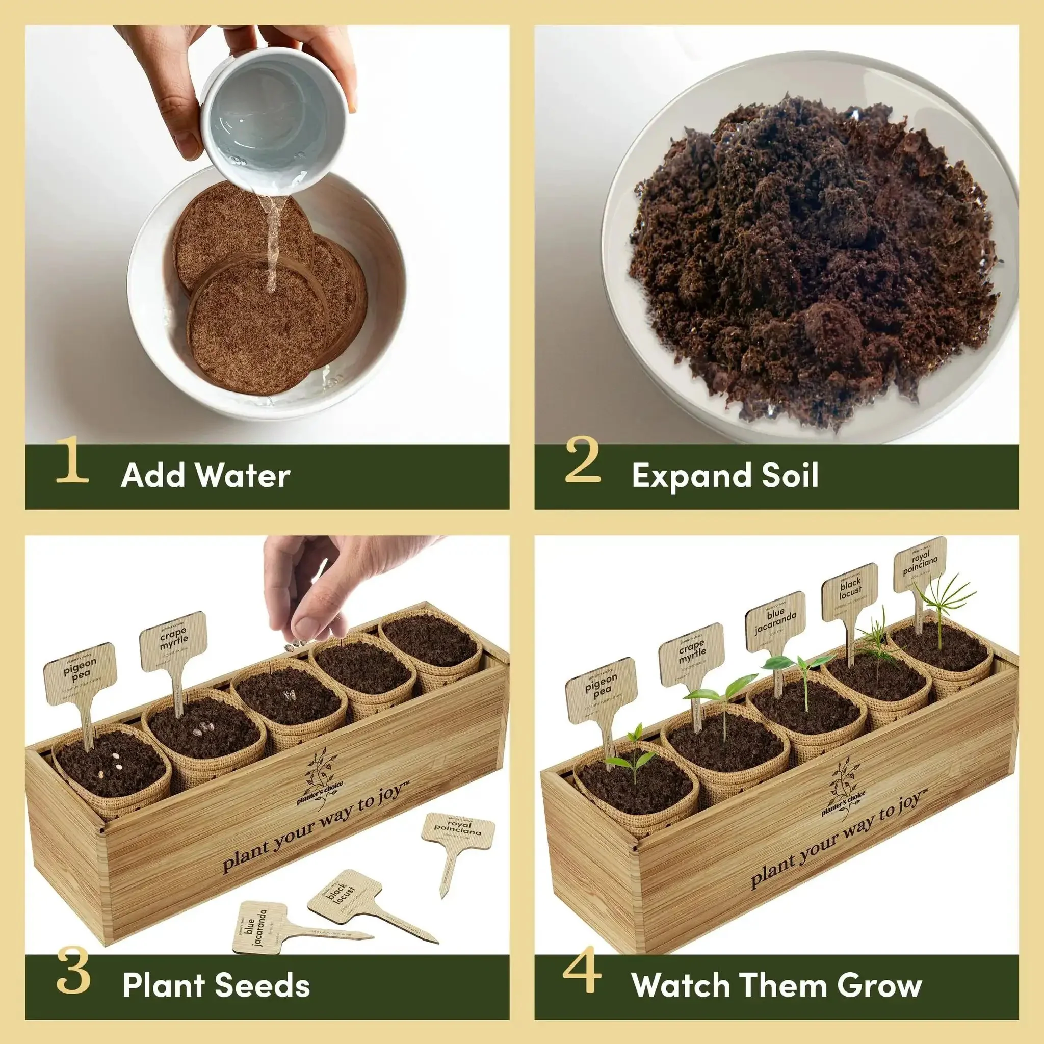 Bonsai Starter Kit With Five Varieties Black Locust Blue Jacaranda Crape Myrtle Pigeon Pea Delonix Regia All In One Deluxe Indoor Bonsai Grow Kit With Seed Packets Pre Fertilized Soil Discs Waterproof Pots Plant Markers And Do It Yourself Projects For - Image 5