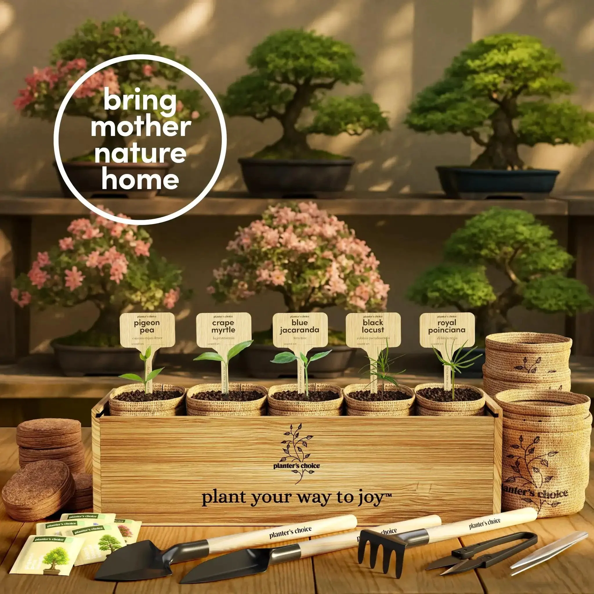 Bonsai Starter Kit With Five Varieties Black Locust Blue Jacaranda Crape Myrtle Pigeon Pea Delonix Regia All In One Deluxe Indoor Bonsai Grow Kit With Seed Packets Pre Fertilized Soil Discs Waterproof Pots Plant Markers And Do It Yourself Projects For - Image 6