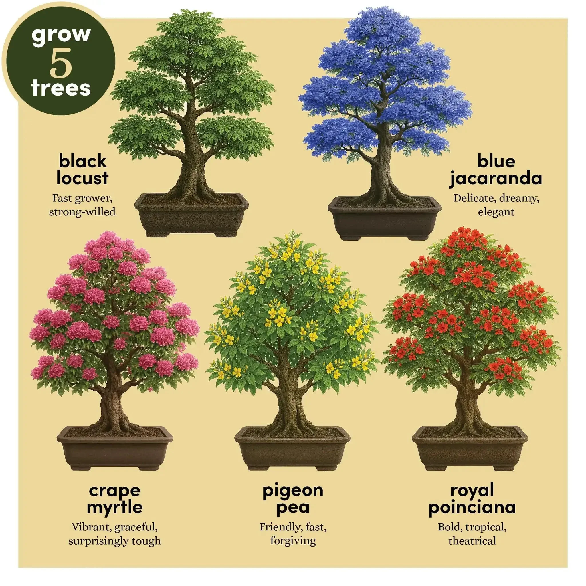 Bonsai Starter Kit With Five Varieties Black Locust Blue Jacaranda Crape Myrtle Pigeon Pea Delonix Regia All In One Deluxe Indoor Bonsai Grow Kit With Seed Packets Pre Fertilized Soil Discs Waterproof Pots Plant Markers And Do It Yourself Projects For - Image 8