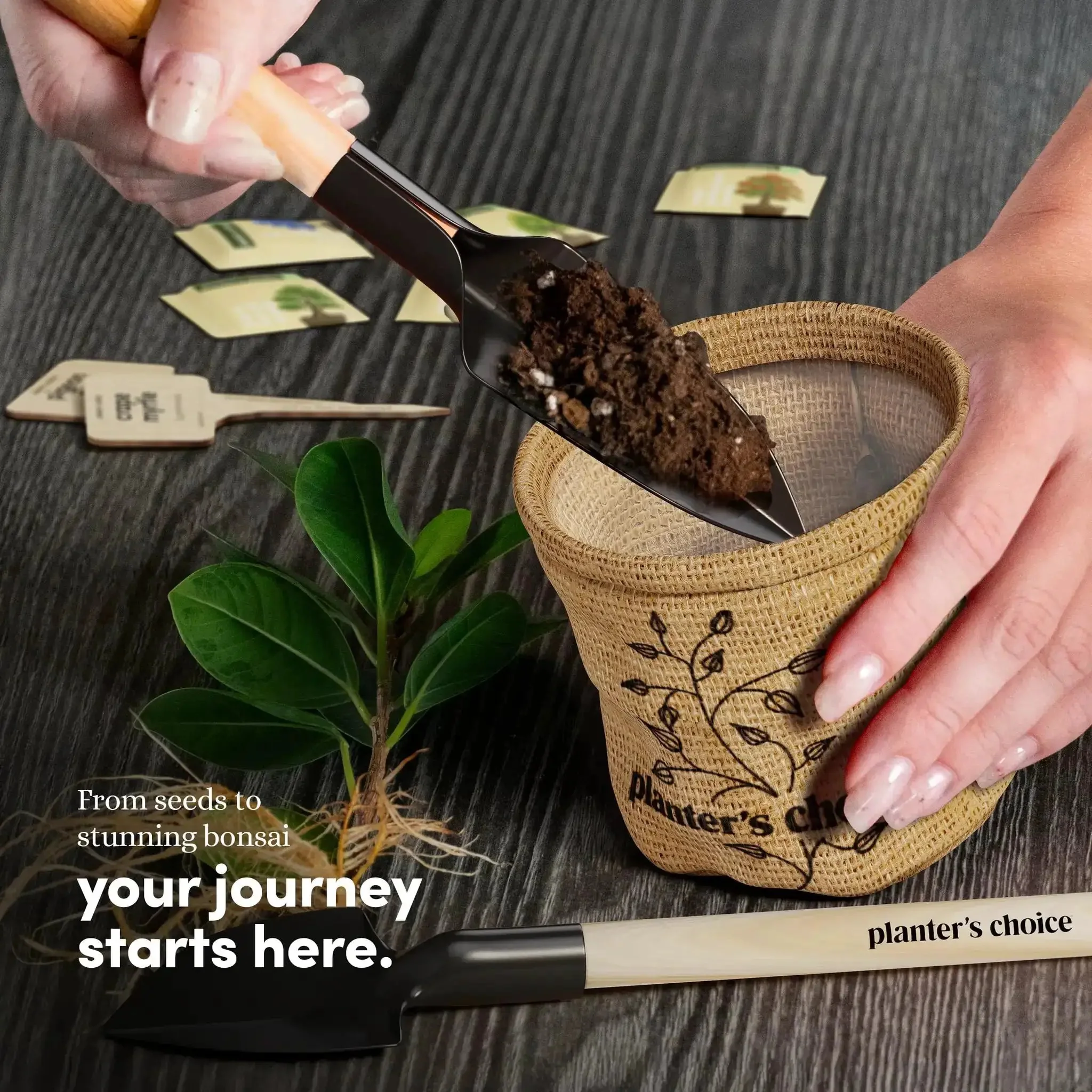 Bonsai Starter Kit With Five Varieties Black Locust Blue Jacaranda Crape Myrtle Pigeon Pea Delonix Regia All In One Deluxe Indoor Bonsai Grow Kit With Seed Packets Pre Fertilized Soil Discs Waterproof Pots Plant Markers And Do It Yourself Projects For - Image 9