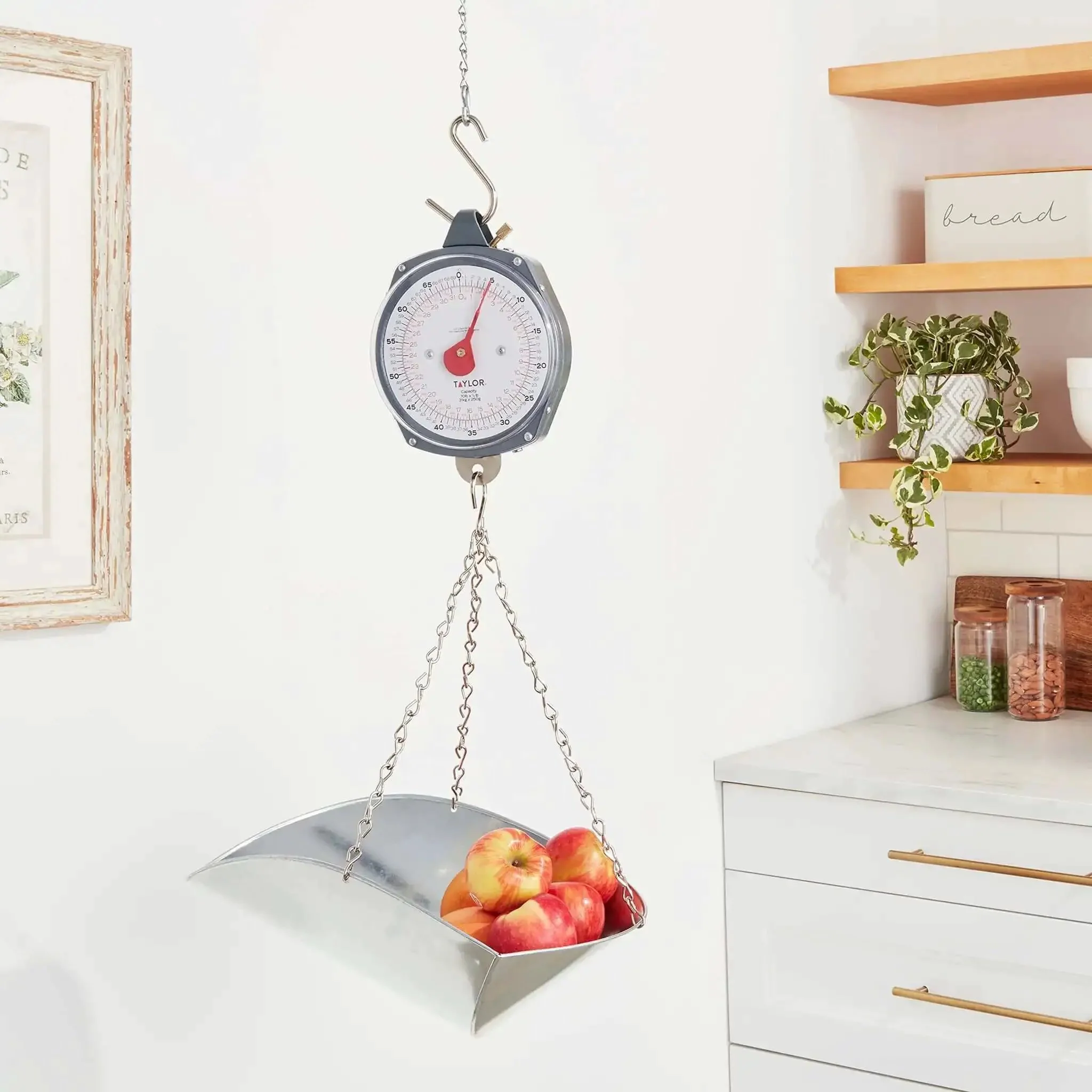 Dial Style 70-Pound Heavy-Duty Industrial Hanging Scale Built Tough For Warehouse, Farm, Or Shop With High-Visibility Dial, Readable From Any Angle, Bright Red Pointer And Durable Stainless Steel Construction - Image 7