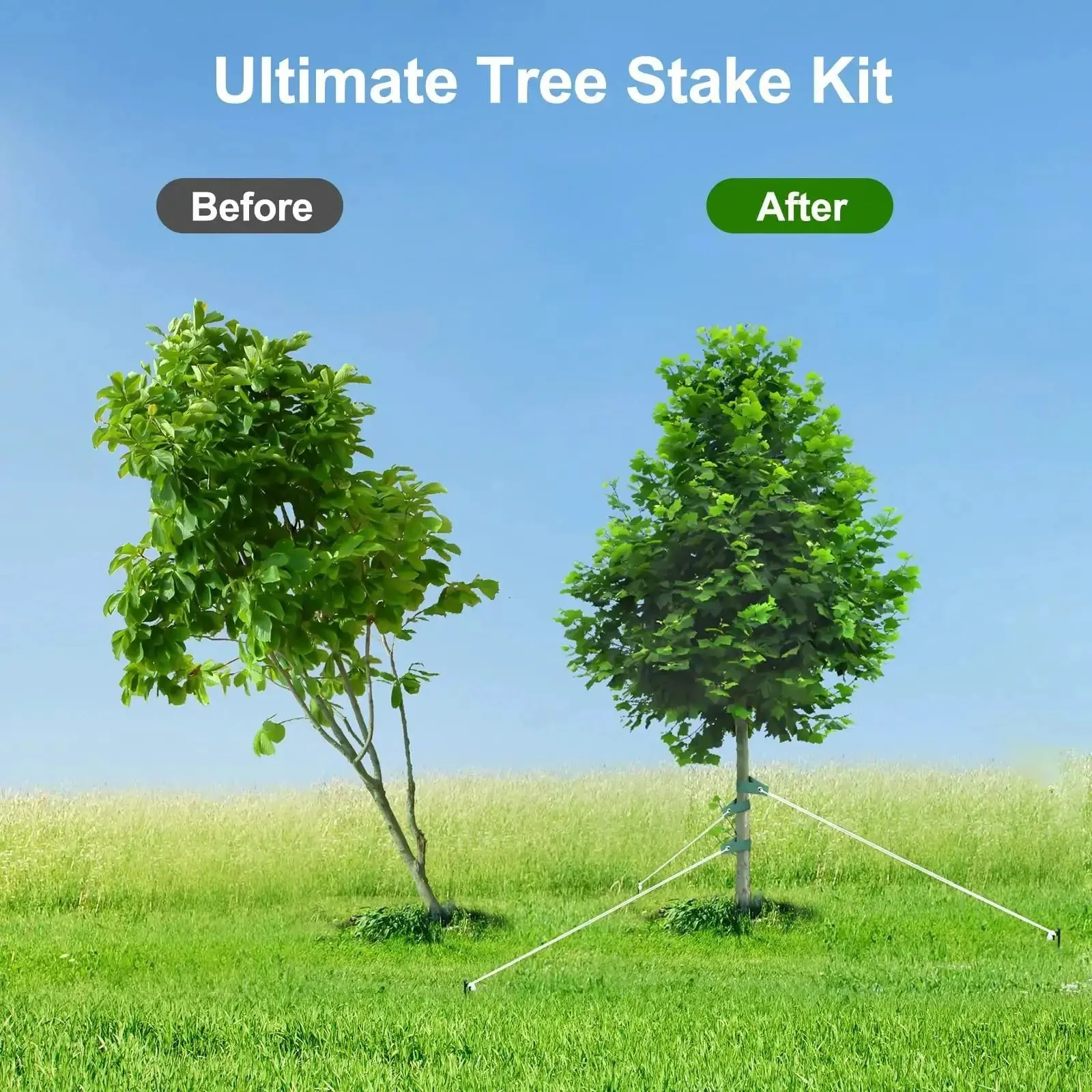 Heavy Duty Tree Stakes And Ground Anchor Kit For Young Trees Weatherproof Support System Includes 3 Metal Stakes 3 Straps And 32.8 Ft Rope Built To Stand Up To Severe Weather And Strong Winds - Image 6