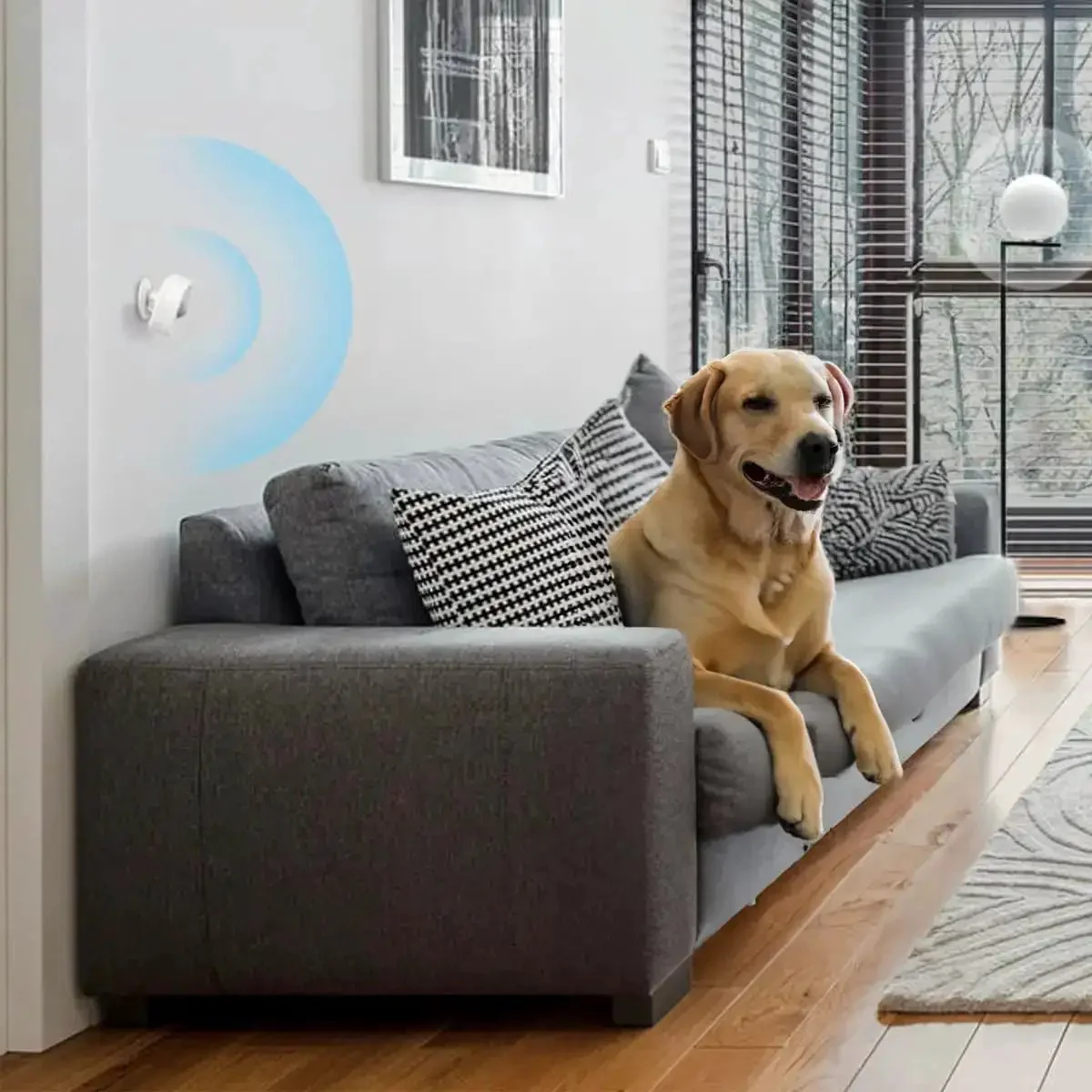 Must Have Tapo Motion Sensor With Long Battery Life And Real Time Alerts Requires Tapo Hub H100 Sub 1G Low Power Wireless For Extended Battery Life Wide Range Detection Adjustable Sensitivity And Smart Actions - Image 5