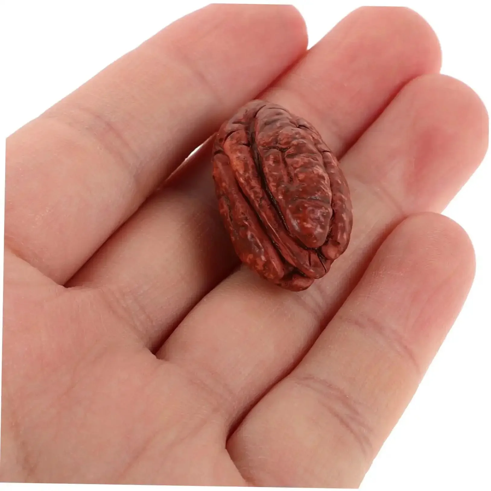 Realistic Faux Walnut Mini Nuts Set For Dollhouse And Miniature Food Photography Props Diy Crafts Home Decor And Party Decorations 10 Pieces For Creative Displays And Whimsical Studio Shots - Image 8