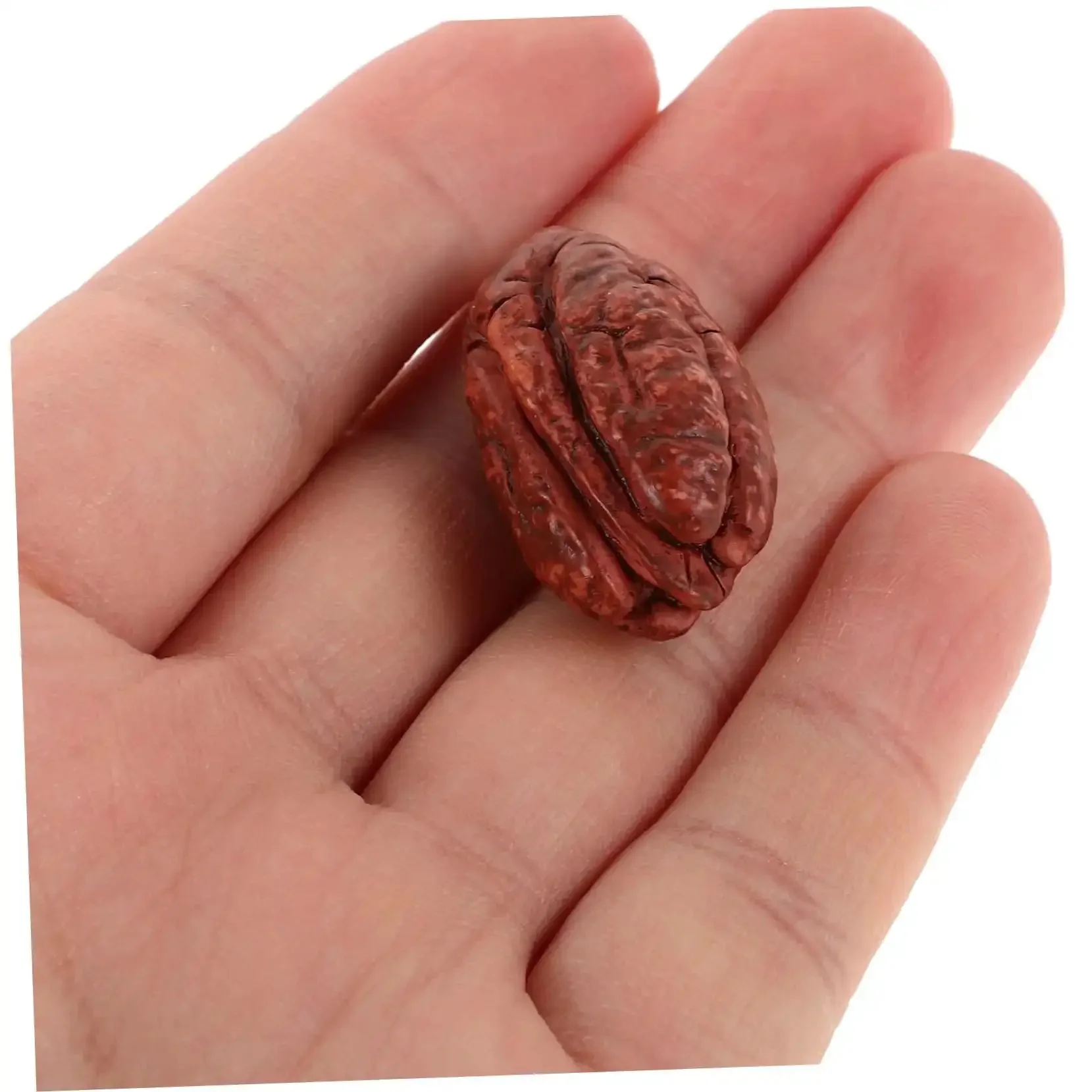Realistic Walnut Miniature Pecans Set Ten Pieces For DIY Decor And Fake Food Props Totally Cute Mini House Accessories Nut Models For Dollhouse And Craft Projects Whimsical Office Desk Decor - Image 8