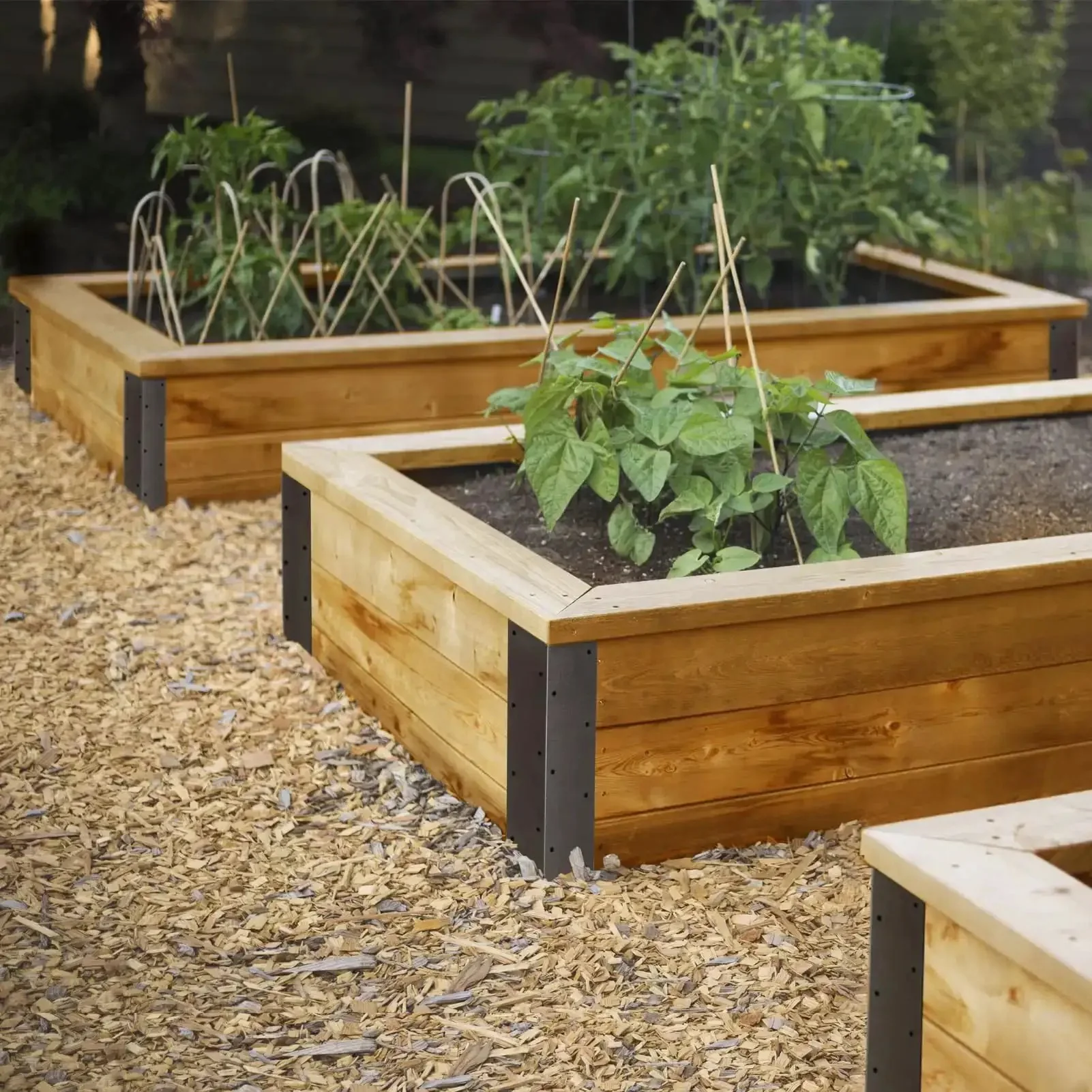Set Of Eight Beefy Raised Garden Bed Corner Brackets With Wood Screws For 20 To 24 Inch Beds Heavy Duty Rust Resistant Metal Connectors 11 By 3 By 3 Inches For Vegetable Planter Garden Durable Easy Assembly Included - Image 2