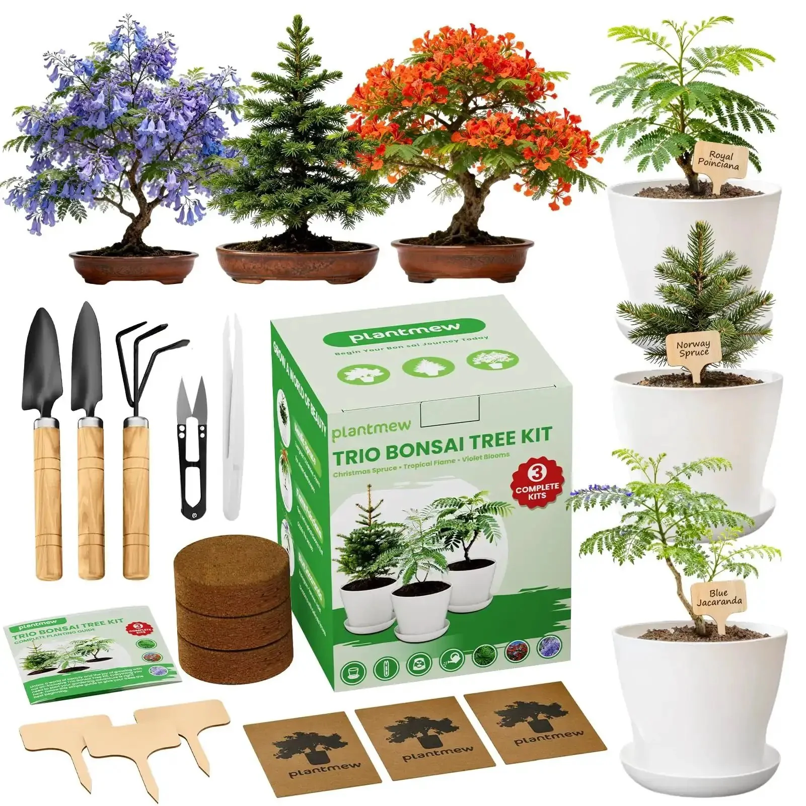 Three Bonsai Kits In One Box Beginners Indoor Growing Starter Set With Tools Planter Soil And Clear Guide Easy DIY Plant Craft Gift For Women Men Moms Dads And New Plant Lovers