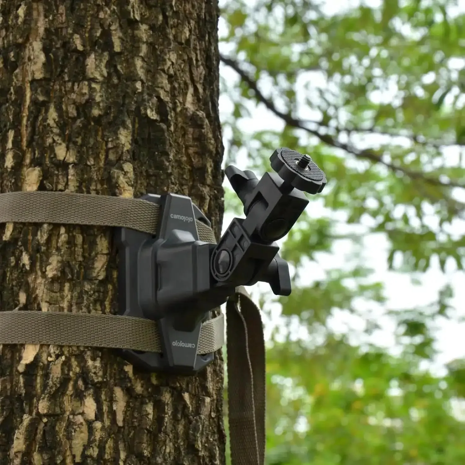 Trail Camera Mounting Bracket With One Quarter Twenty Threaded Insert 360 Degree Rotating Adjustable Holder For Outdoor Hunting Gear Game Camera Holder Monitor Stand Kit 2 Pack - Image 3